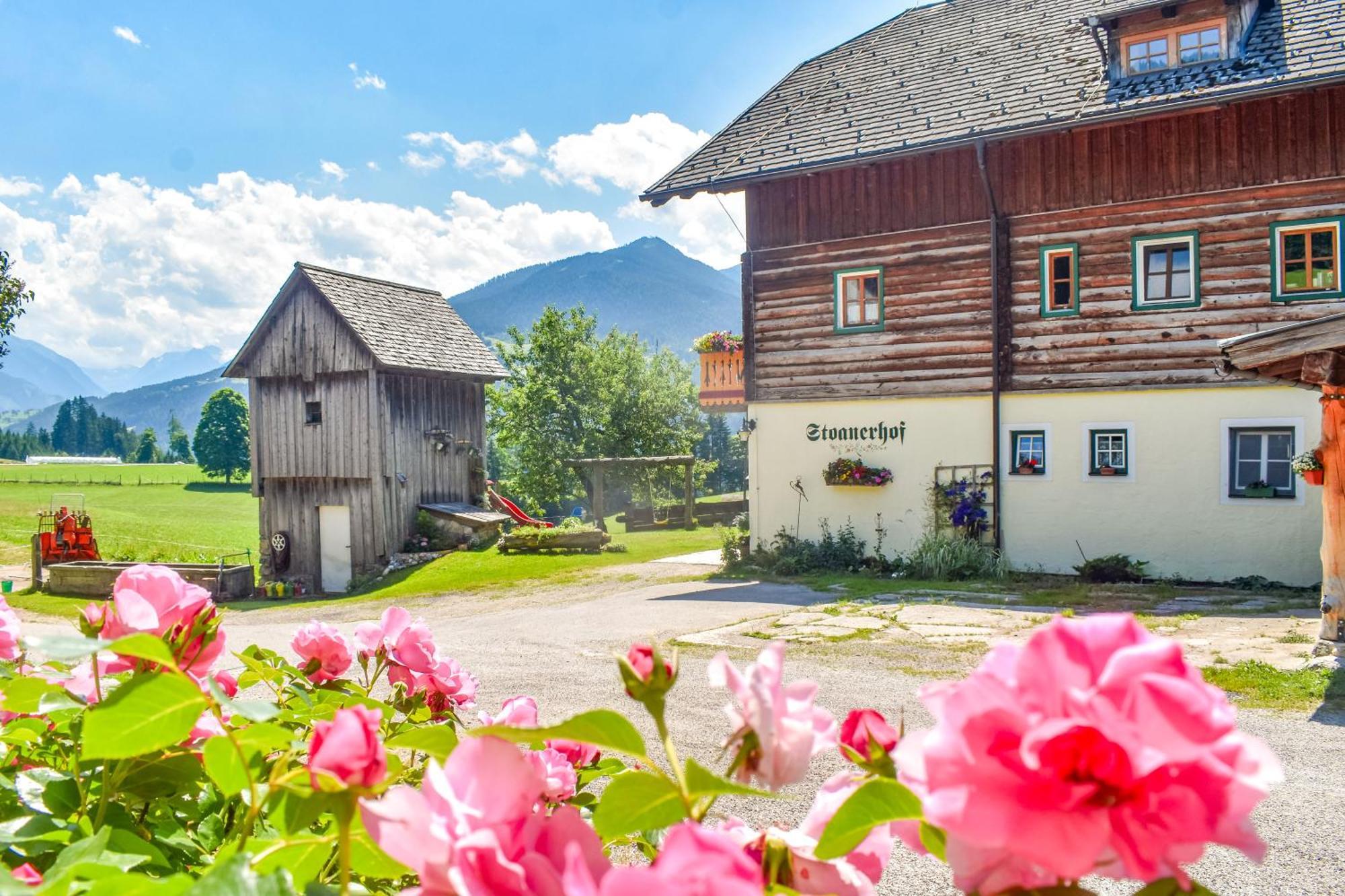 Stoanerhof Apartment Schladming Bagian luar foto