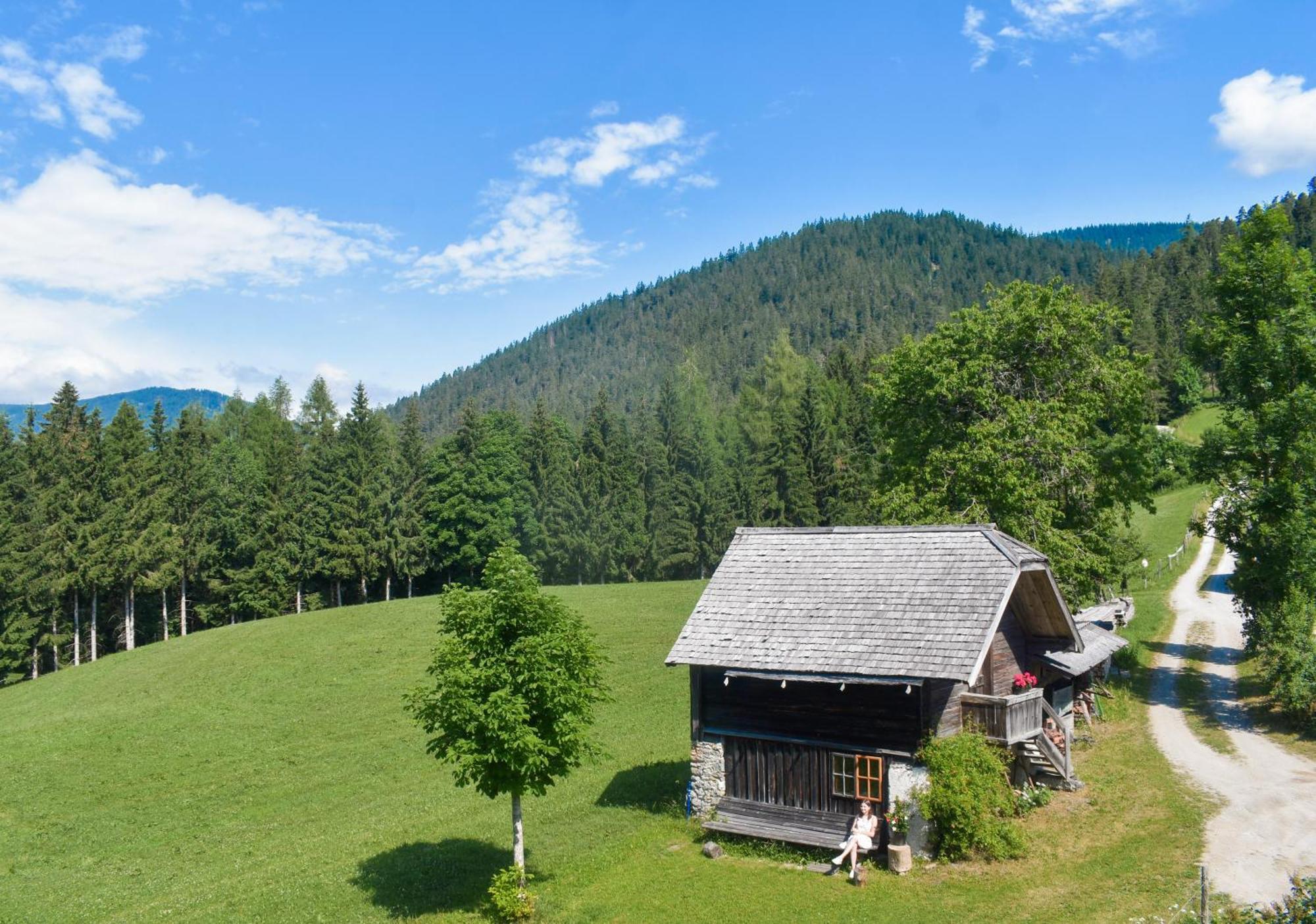 Stoanerhof Apartment Schladming Bagian luar foto
